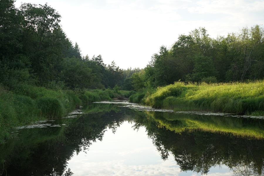 Читать краткое описание всех 16 серий сериала Большая вода 2025 года на НТВ