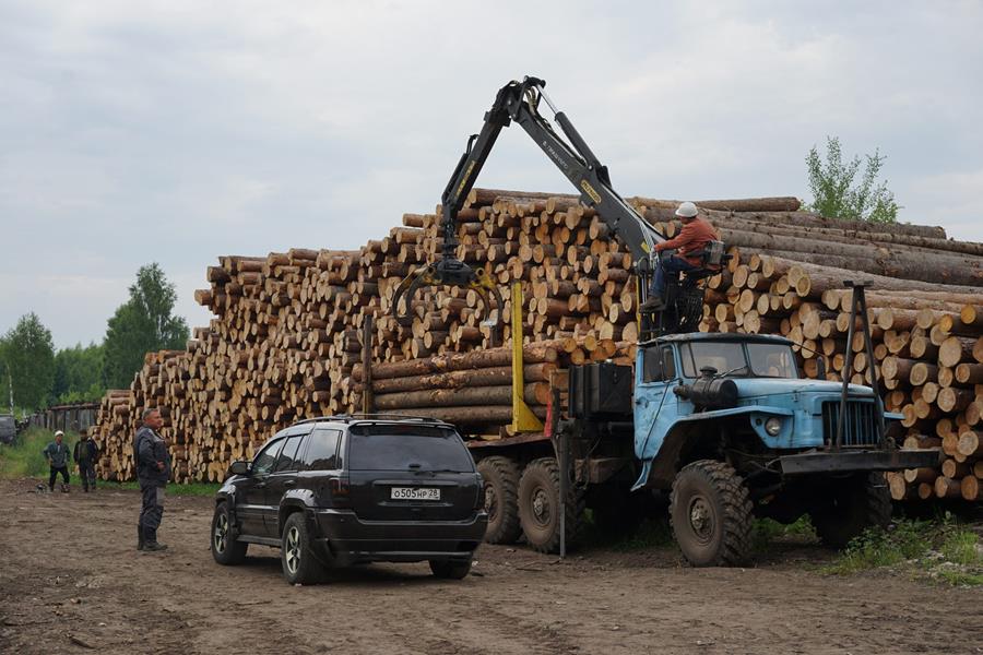 Читать краткое содержание всех 16 серий и концовки сериала Большая вода 2025 года на НТВ