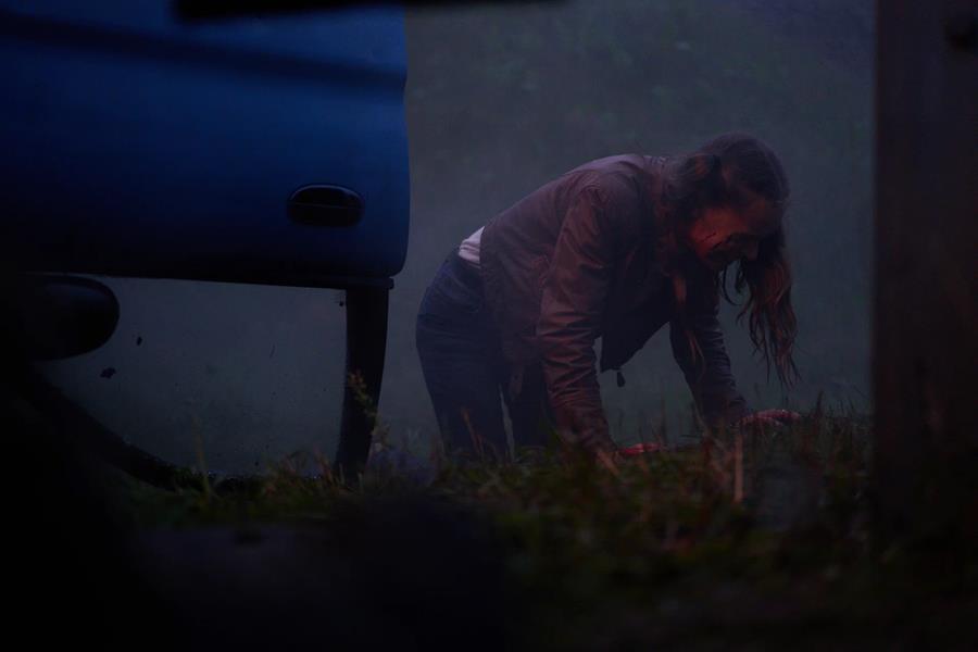 ������ ������ �� ����� 2026 ���� �� ������ ������