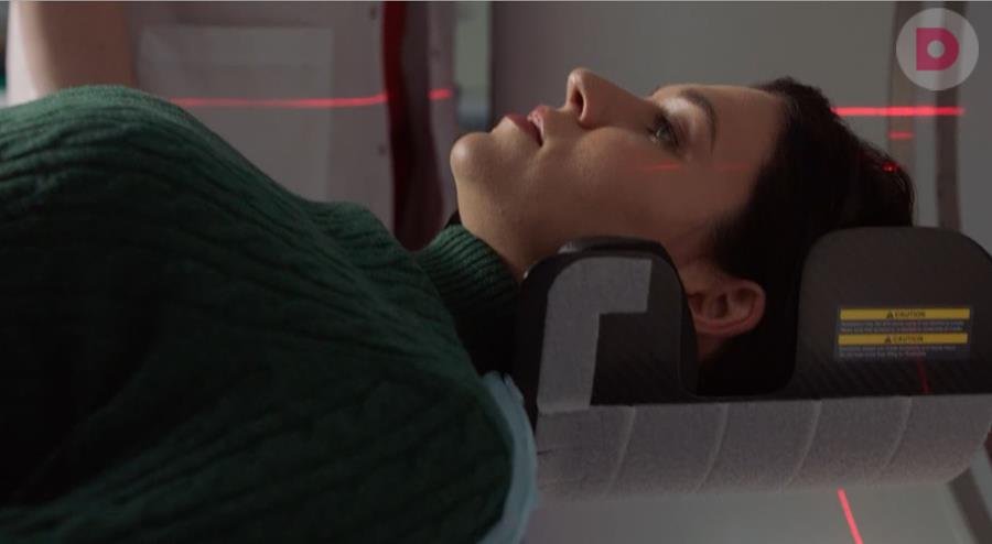 ������ ���� �� ����� ���� 2026